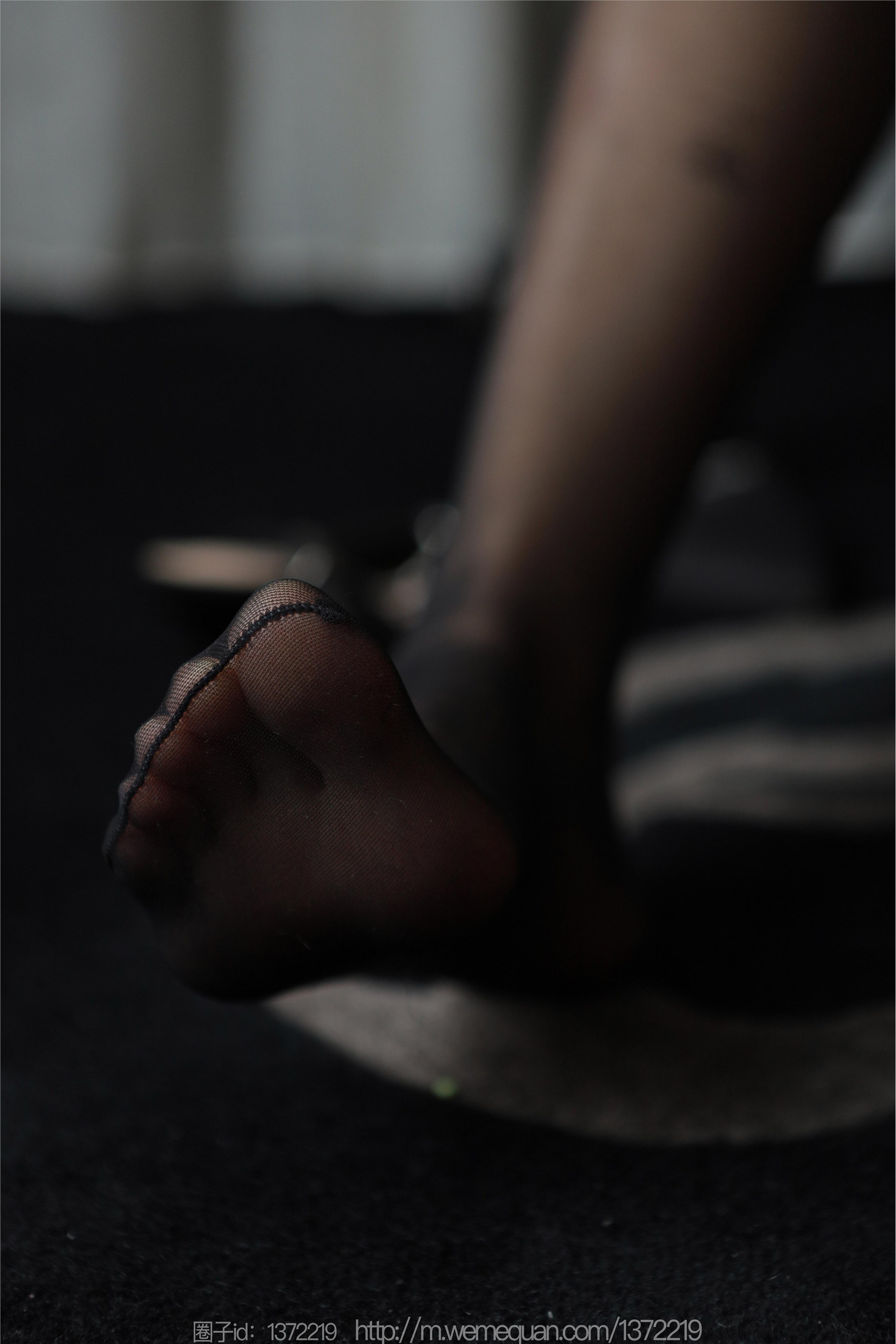 IESS异思趣向  2023.03.11 丝享家 1387 小宝《红玫瑰雷丝》